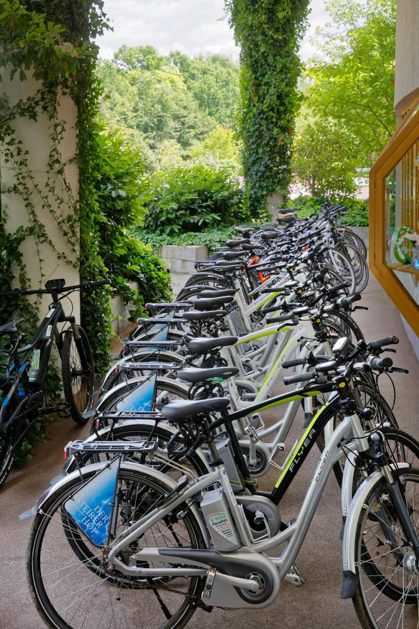 Hotel & Spa Der Steirerhof Bad Waltersdorf Luaran gambar